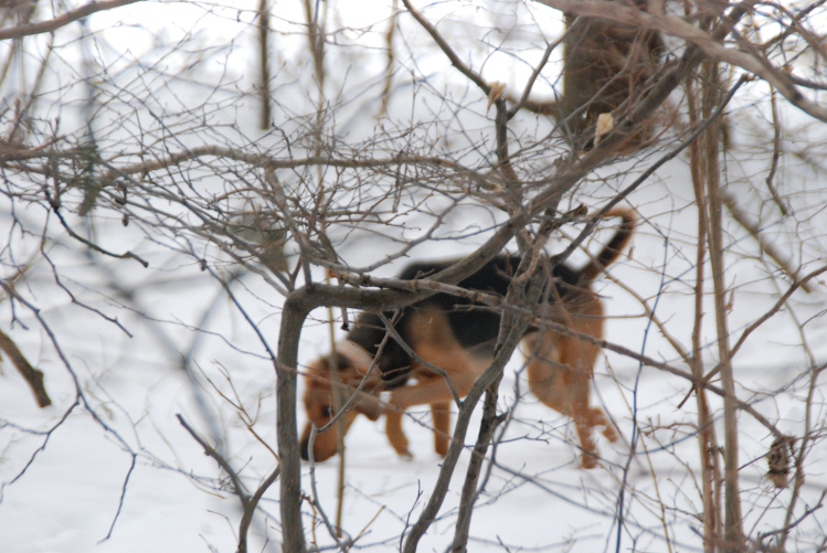 DSC_0022.JPG