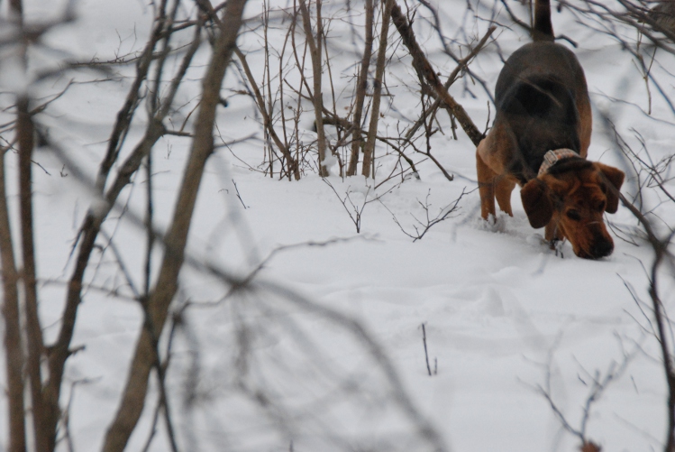DSC_0023.JPG