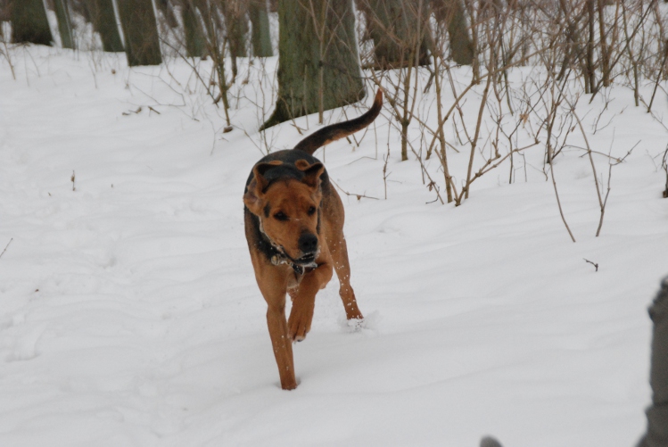 DSC_0039.JPG
