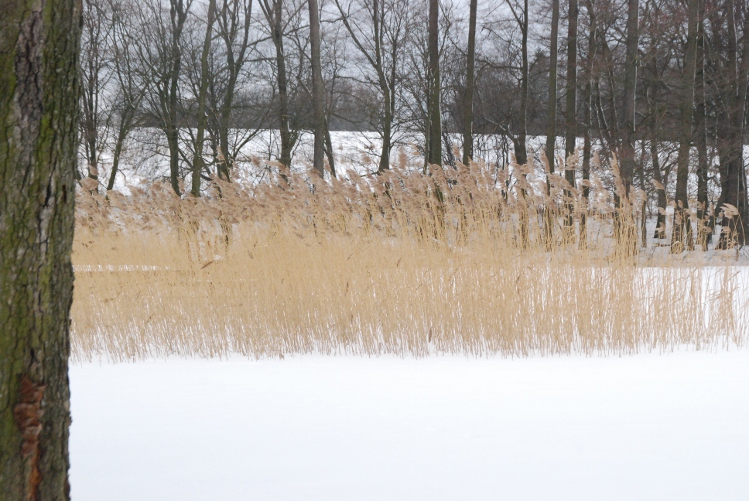 DSC_0059.JPG