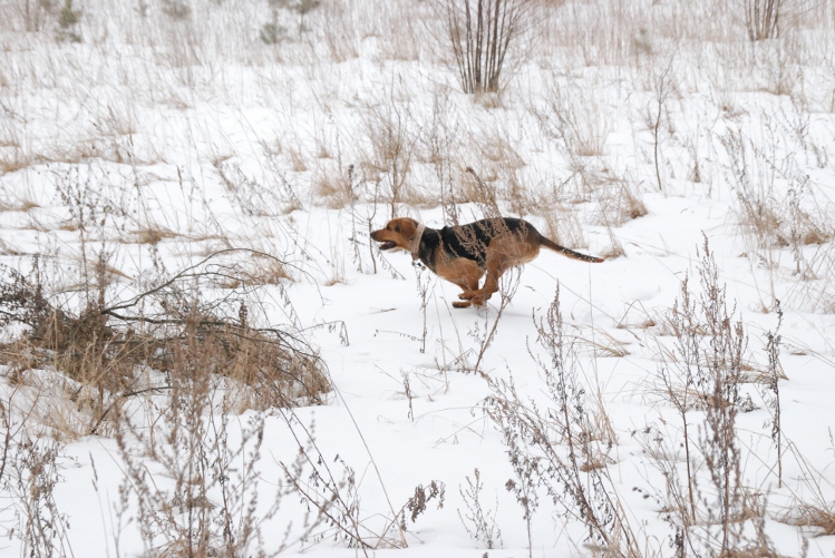 DSC_0063.JPG