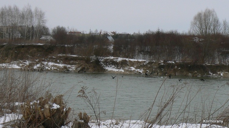 P1630027.JPG