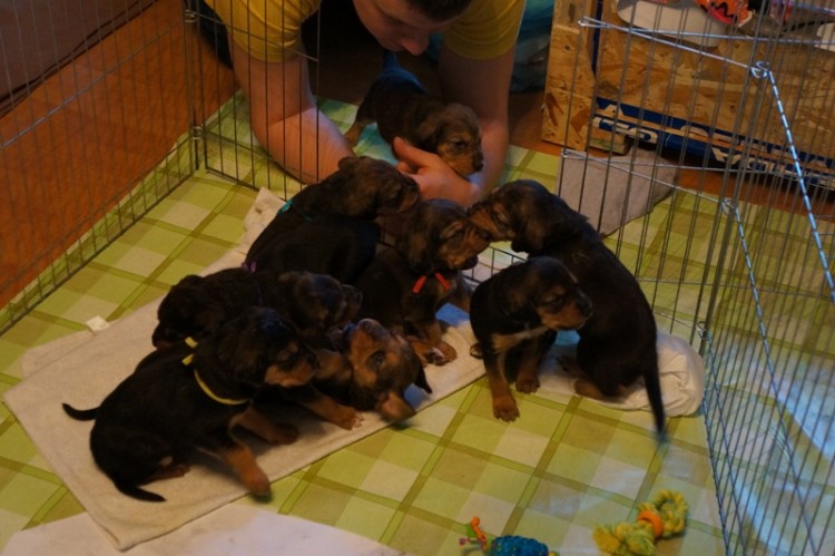 DSC01679mini.jpg
