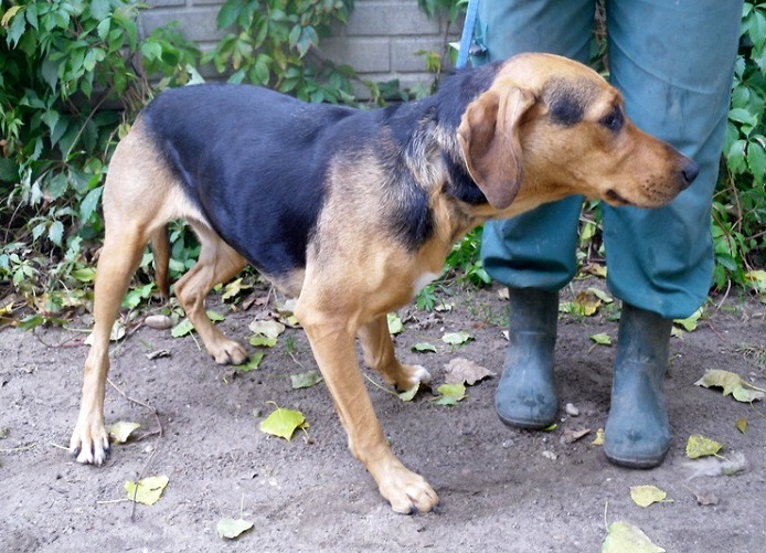 foto2.JPG