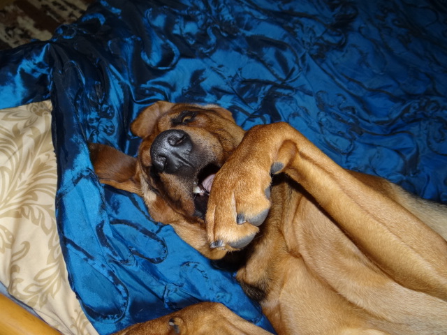 DSC00366.JPG