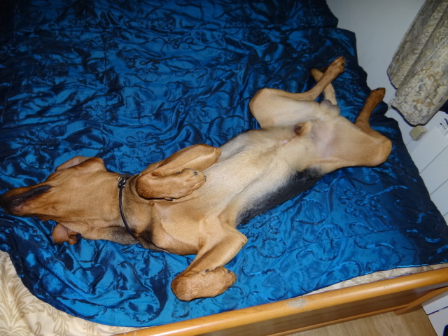 DSC00363.JPG