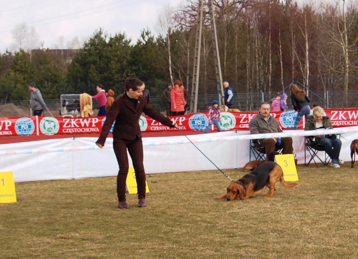 Węszący Basik.jpg