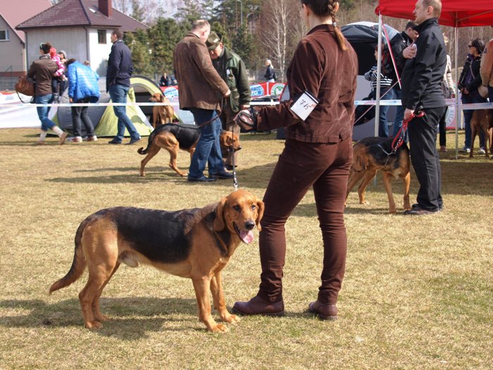 Basik w pełnej krasie.jpg