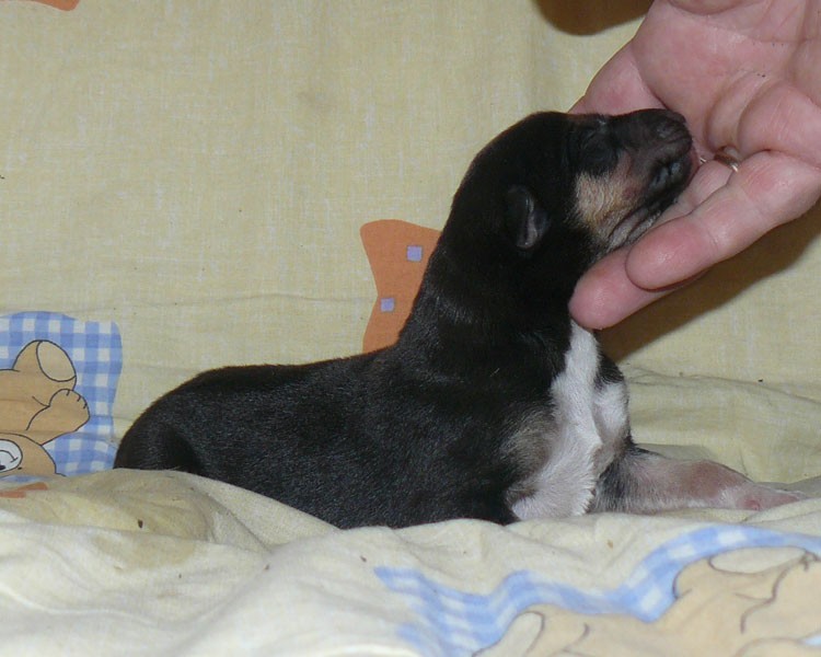 P1380882.JPG