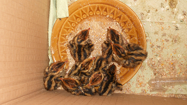 DSCN2287.jpg