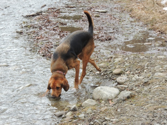 DSCN2179.JPG