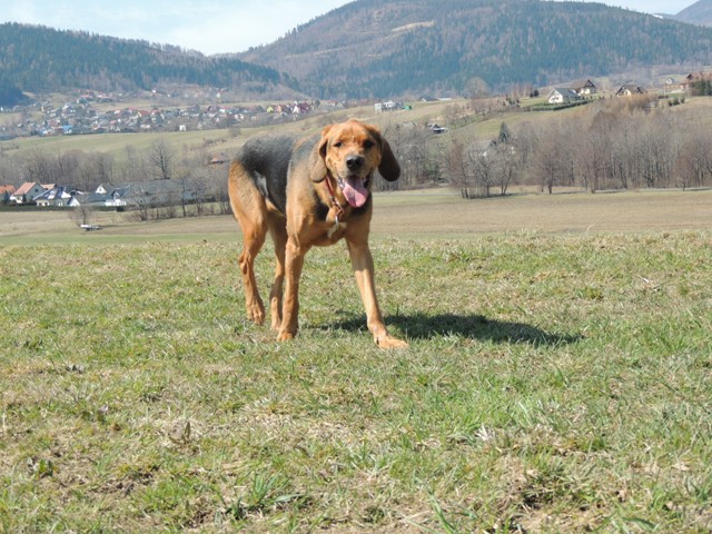 DSCN2391.JPG