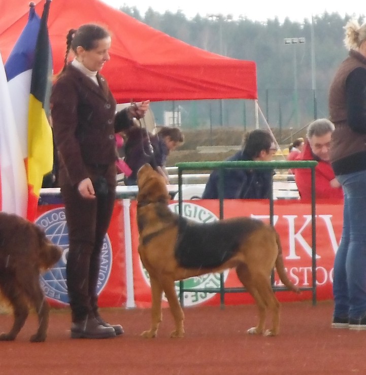 Ponownie MINUTA na finałach, kropiło więc trochę słabe zdjęcie