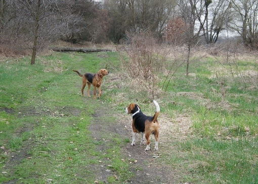 DSC06225 (640x425).jpg