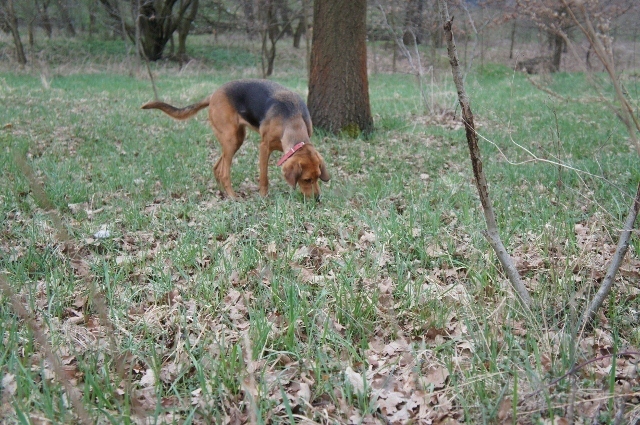 DSC06209 (640x425).jpg