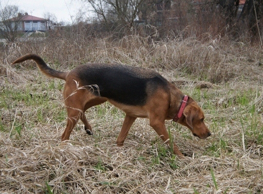 DSC06219 (640x425).jpg