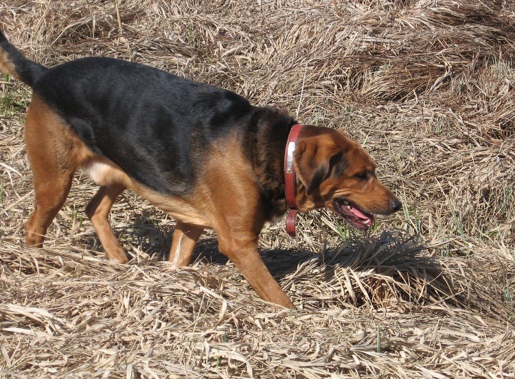 21 kwietnia 2013 037.jpg