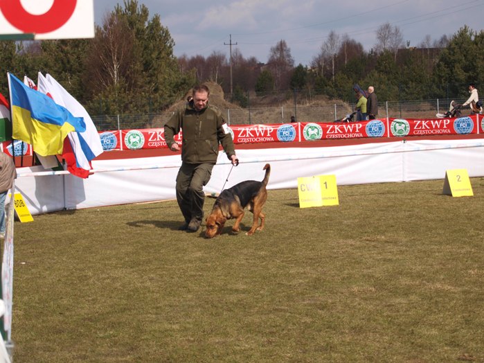 Nawet przez chwilę biegłem jak potrzeba