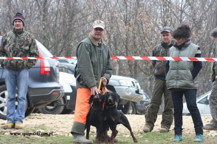 Andre i jego gończe.