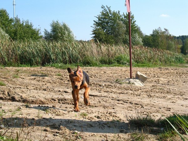 fajnie jest poczuć wiatr we włosach