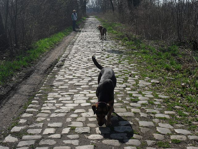 Szłam z tyłu, cykałam zdjęcia i kopałam piłeczkę, którą Gabi podsuwała mi pod nogi.