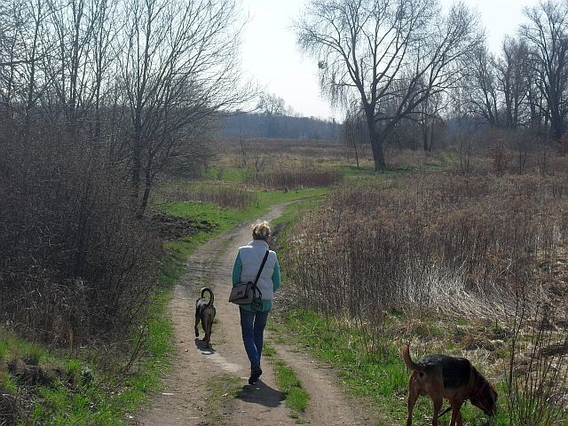 Szliśmy i szliśmy, zaszliśmy dość daleko, nawet ja tu nie dotarłam z Aresem.