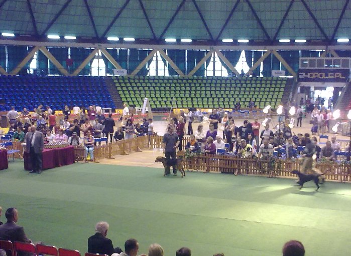 Juniory gr VI i GROM