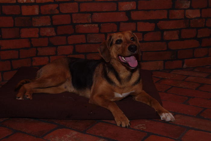 IMGP1384.JPG