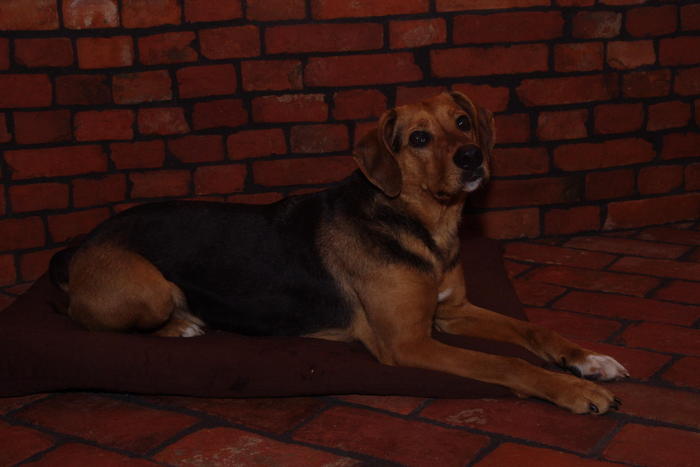IMGP1386.JPG