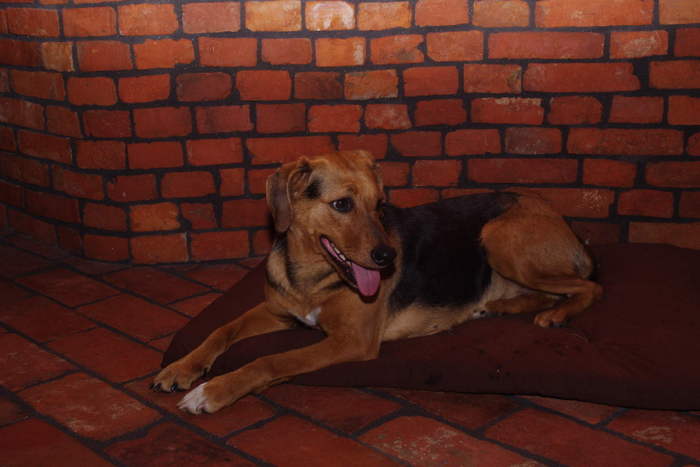 IMGP1392.JPG