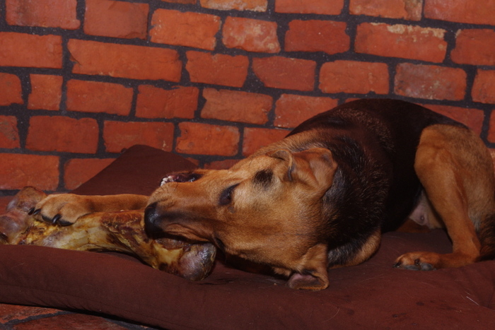 IMGP1396.JPG