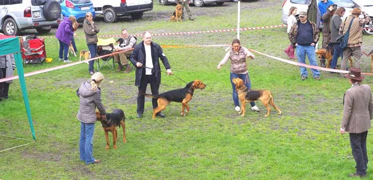 Runda końcowa.jpg