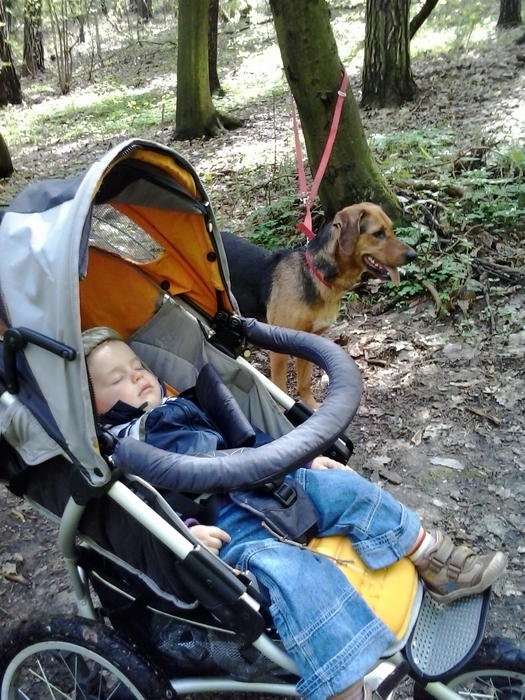 2013-05-05 11.30.45.jpg