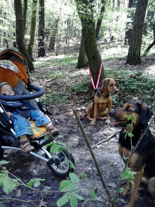 2013-05-05 11.33.59.jpg