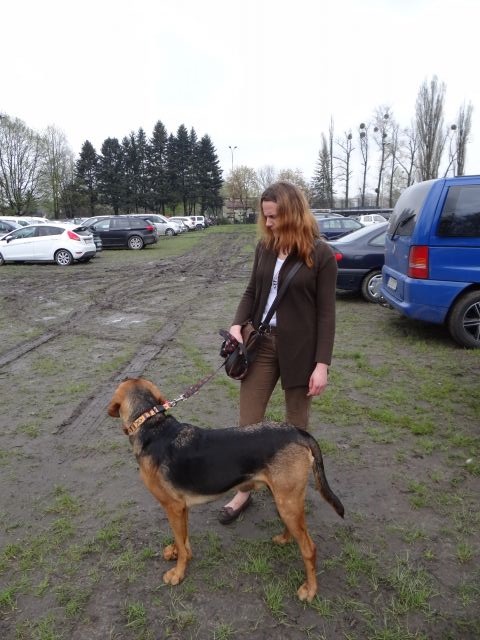 gdzie ja jestem???