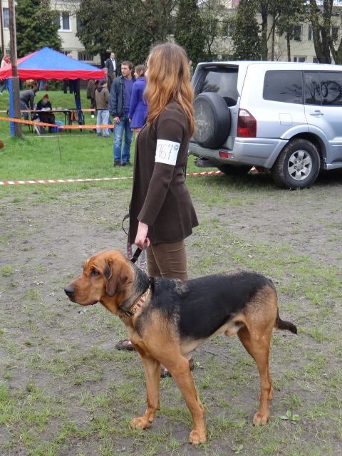 czemu patrzysz w lewo?..o tam są pieski!!!, chodźmy w prawo
