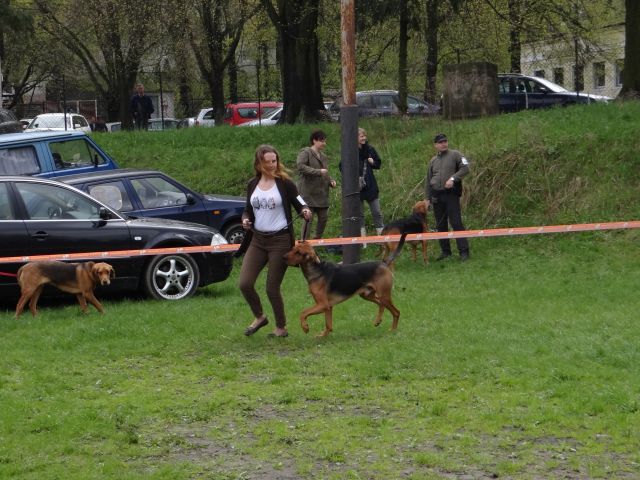 DSC00585.jak-zmniejszyc-fotke_pl.jpeg
