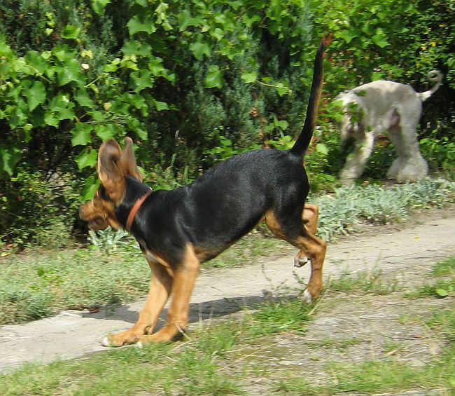 zagadka.jpg
