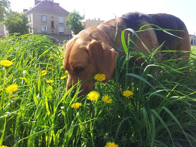 20130509_160824.jpg