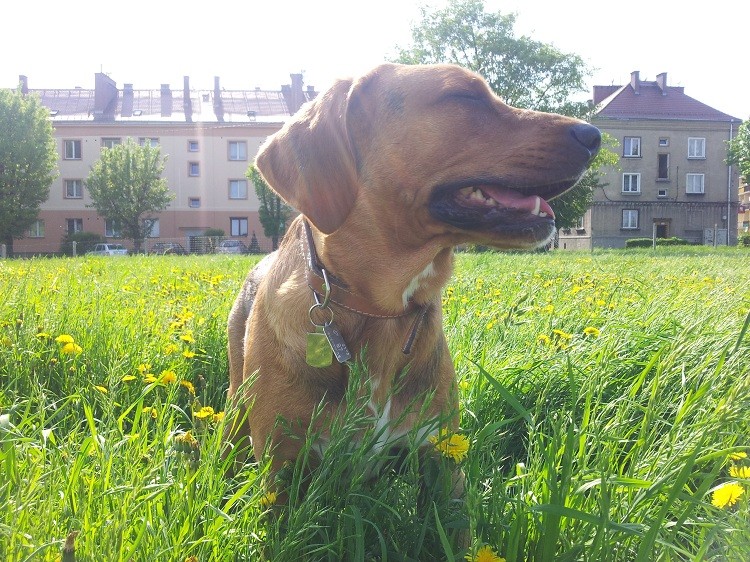20130509_160856.jpg