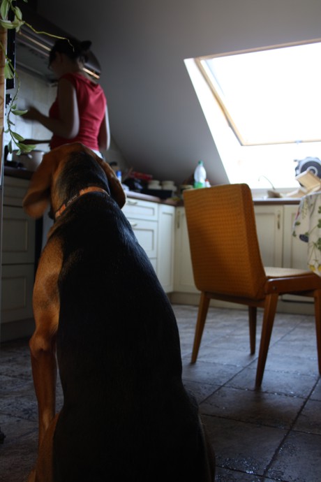 IMG_0506wait.jpg