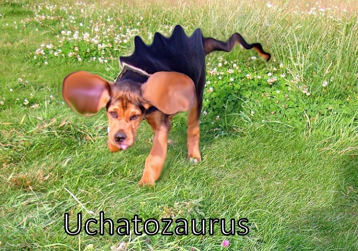 Uchatozaurus