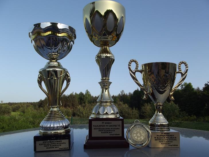 DSCF2291.JPG