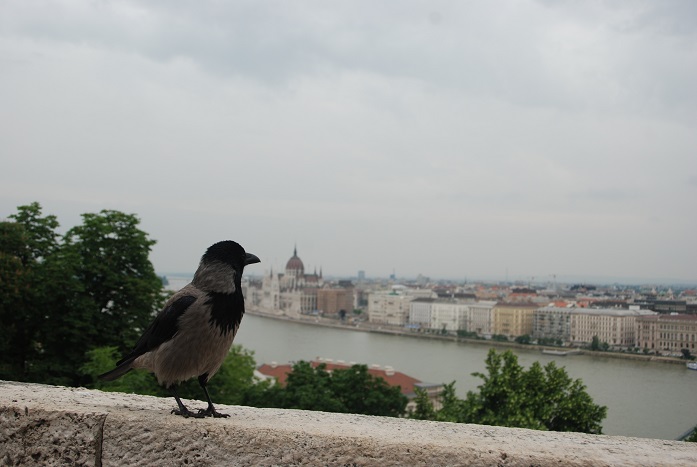 DSC_0829.JPG