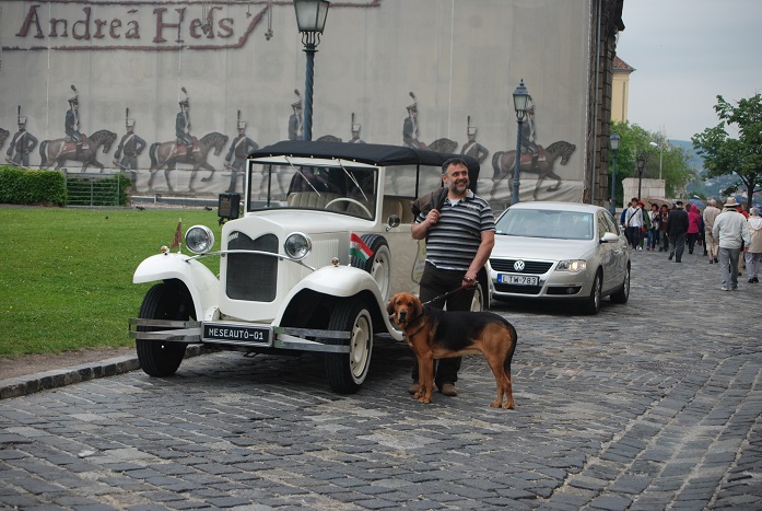 DSC_0870.JPG