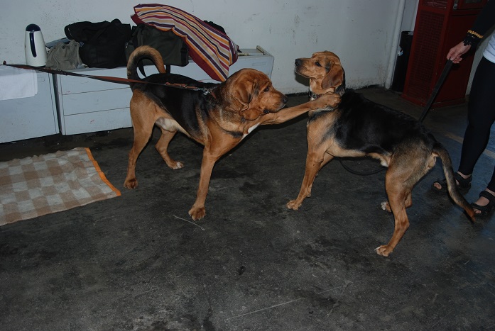 DSC_0977.JPG