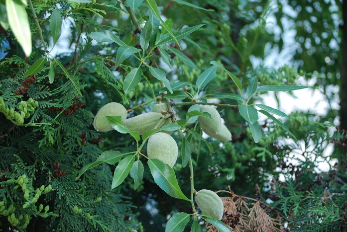DSC_1078.JPG