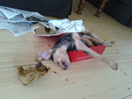 Relaks :)