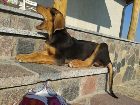 20130517_074259 mini.jpg