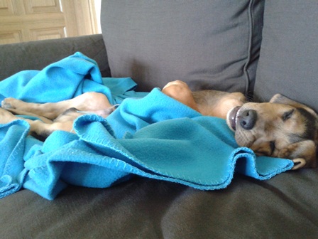 20130520_123542 mini.jpg